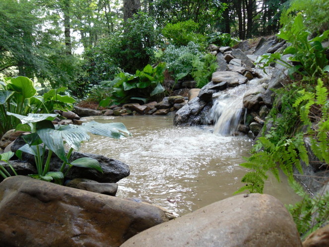 Picture